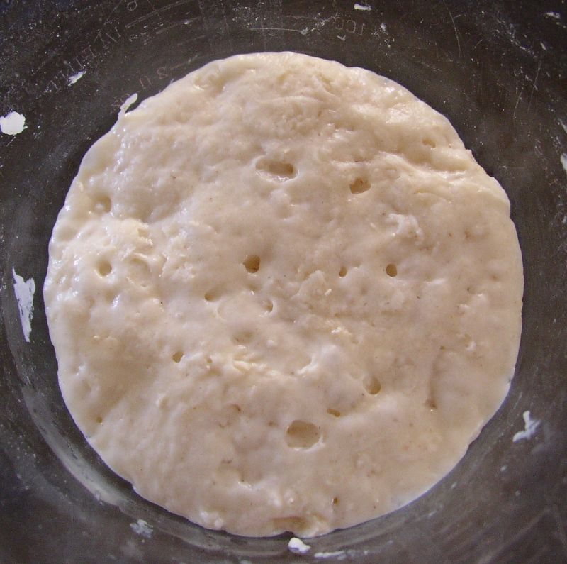 Fermentation: The Rise of Flavor Complexity (image credits: wikimedia)