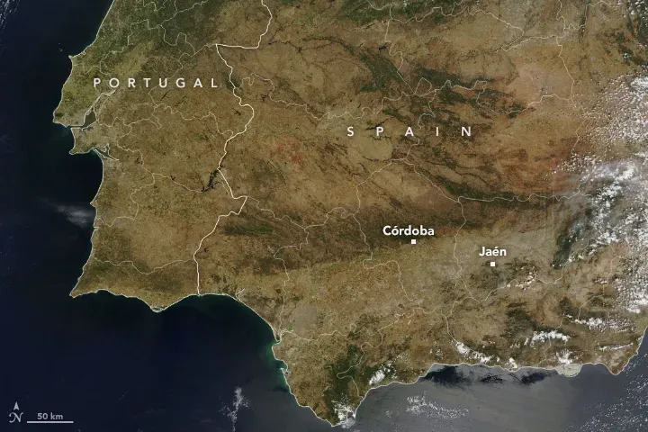Spain's Drought Created the Perfect Storm for Fraudsters (By NASA Earth Observatory images by Allison Nussbaum, using MODIS data from NASA EOSDIS LANCE and GIBS/Worldview., Public domain)