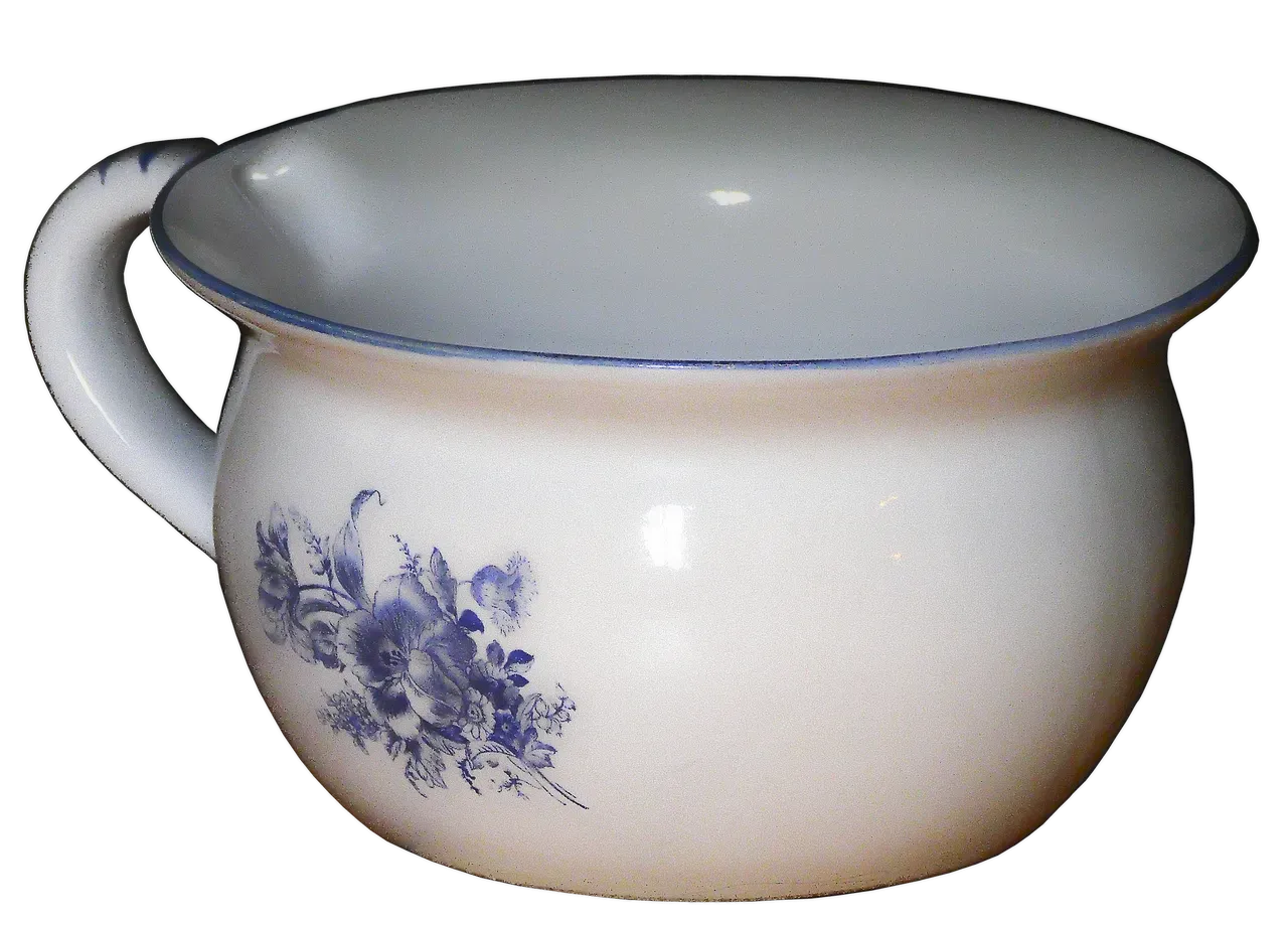 Chamber Pots And Other Delightful Morning Tasks (Image Credits: Pixabay)