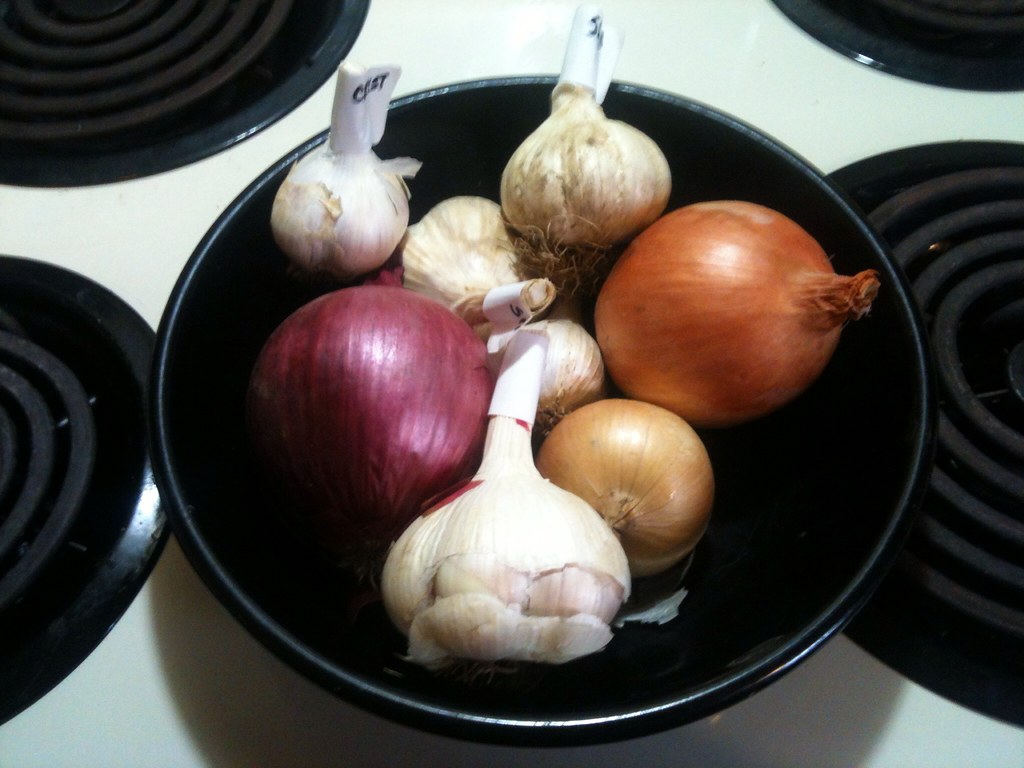 Garlic and Onions: The Prebiotic Powerhouses (image credits: flickr)
