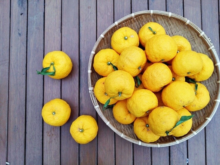 Yuzu: The Citrus You Didn't Know You Needed (image credits: wikimedia)