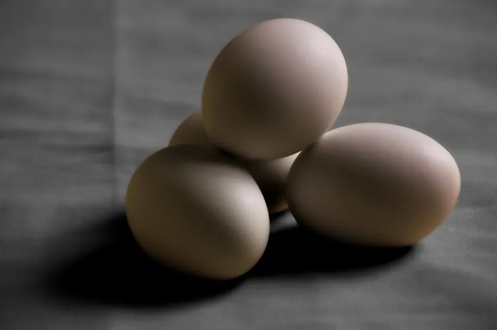 The Verdict on Four Eggs Daily (Image Credits: Flickr)