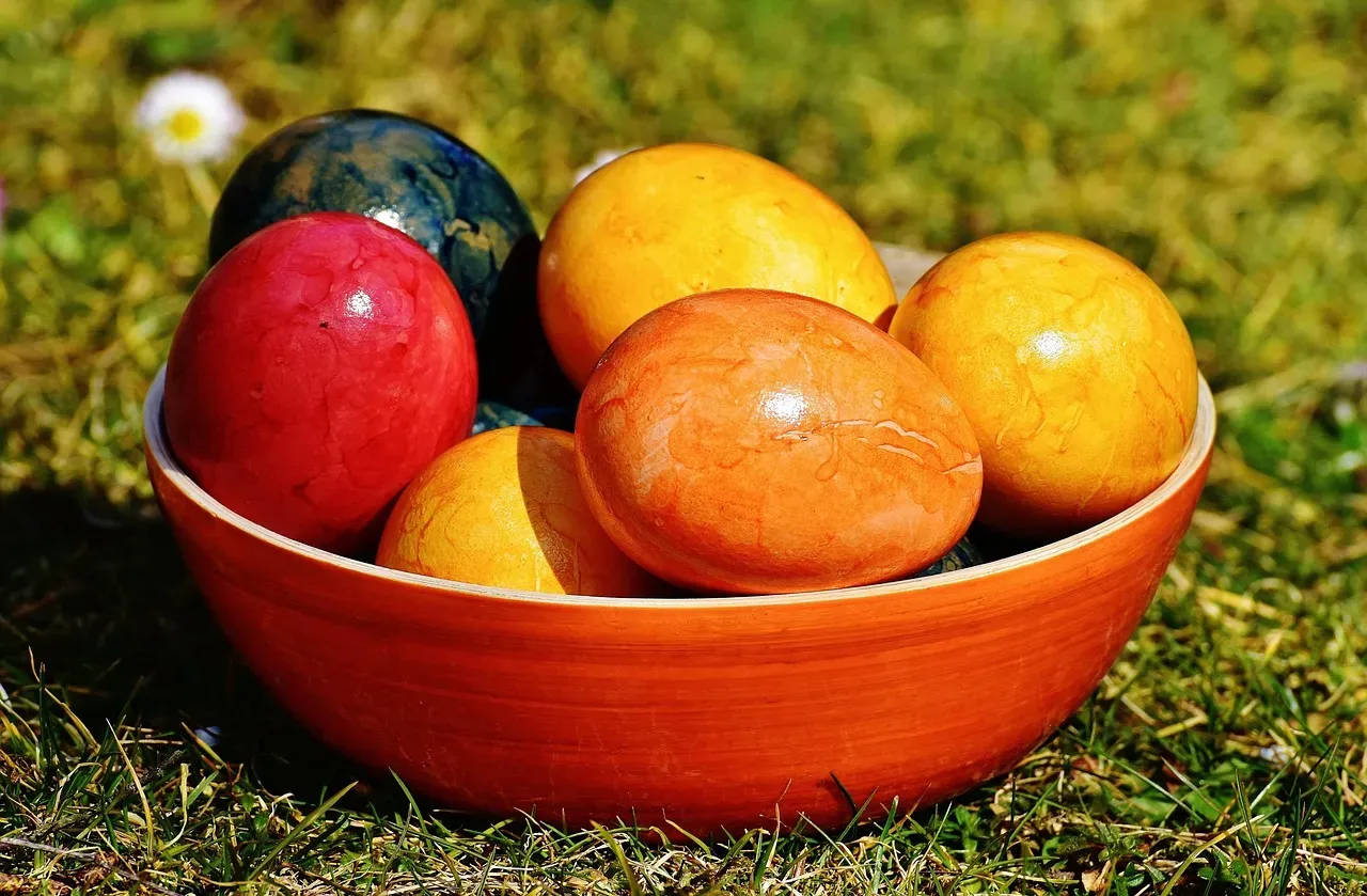 The Health Concerns Are Real, Even If Contested (Image Credits: Pixabay)