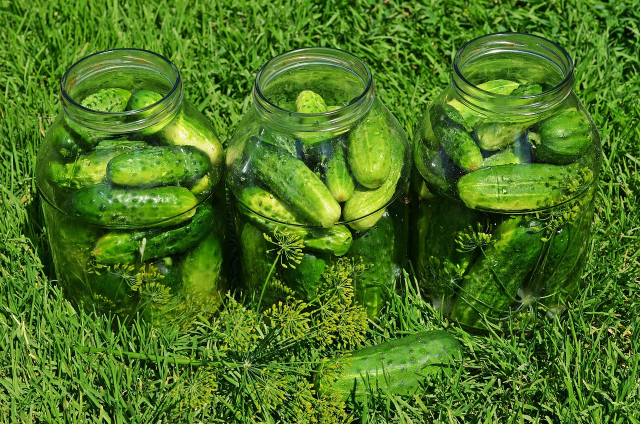 Pickling Trends in 2023 (image credits: pixabay)