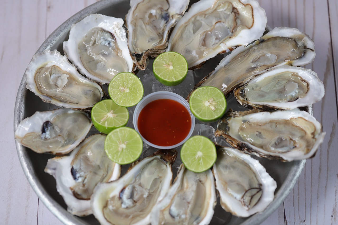 Seafood and Microplastic Contamination (image credits: pixabay)