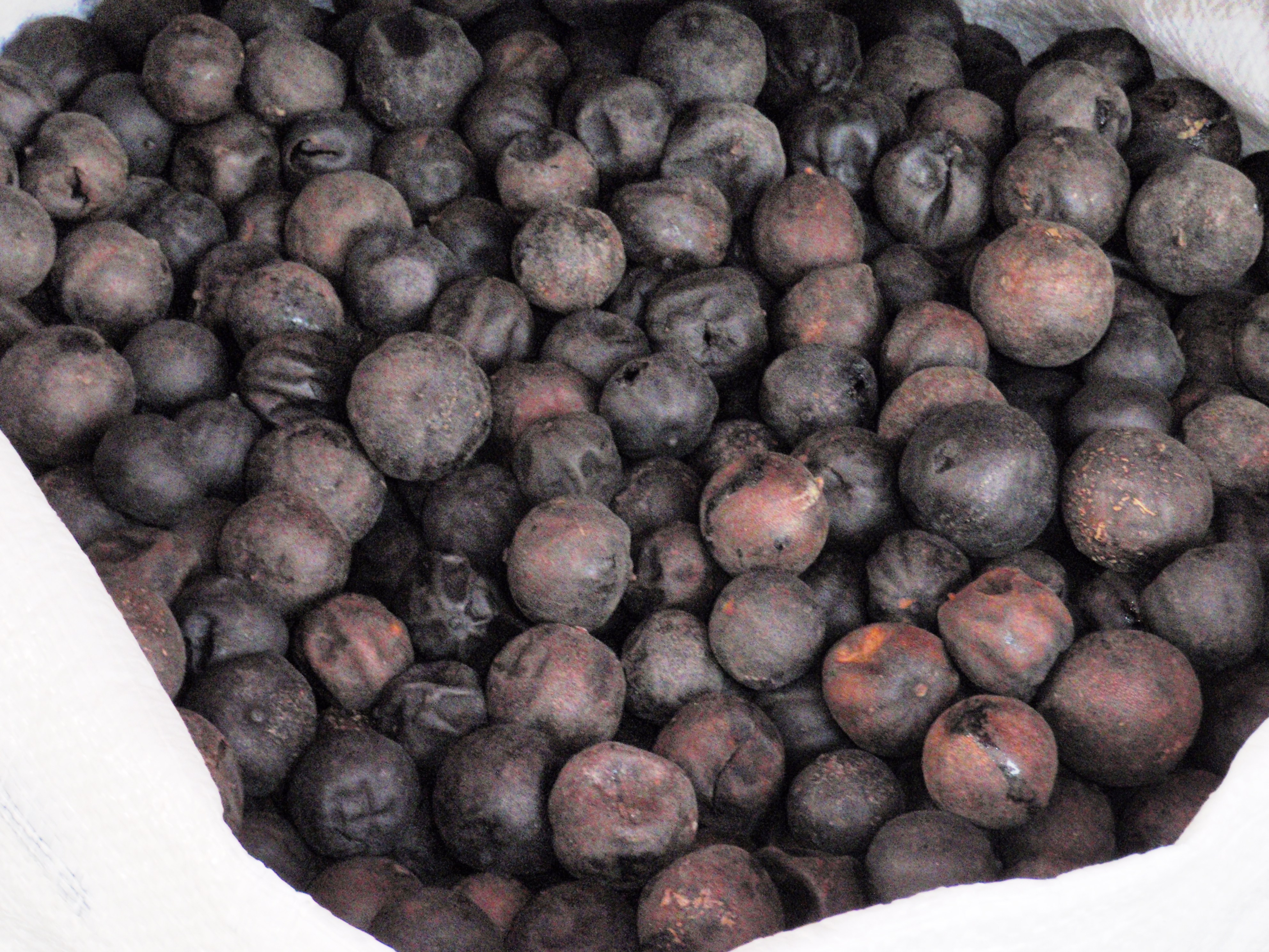 The Environmental Impact of Black Lime Production (image credits: wikimedia)