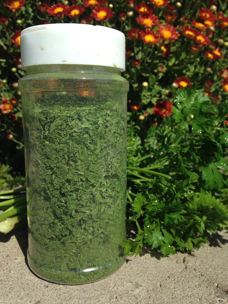 Dried Parsley (image credits: flickr)