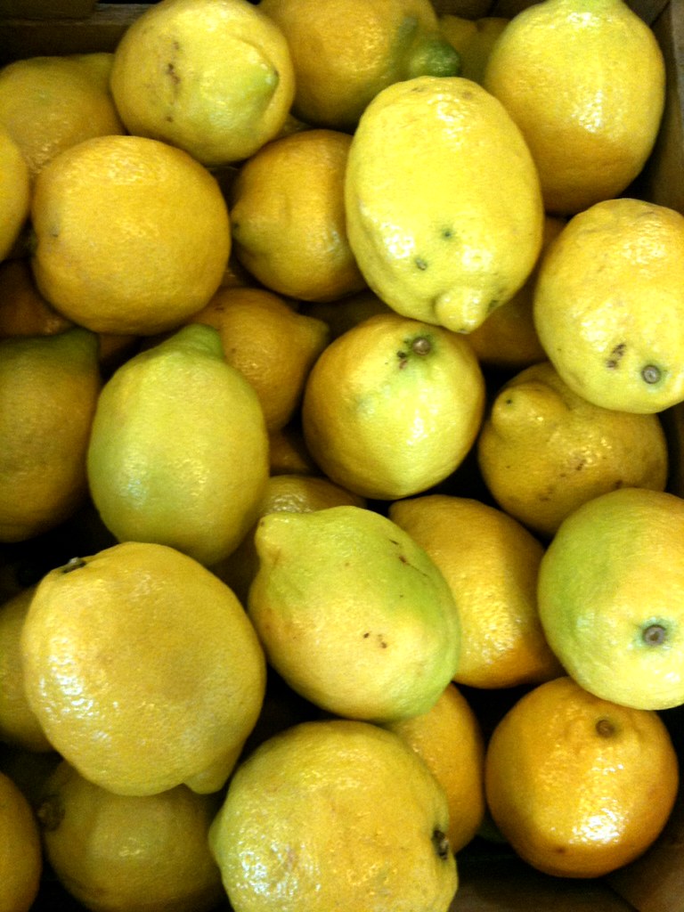 Lemon Squash: The Shape-Shifter (Image Credits: Flickr)