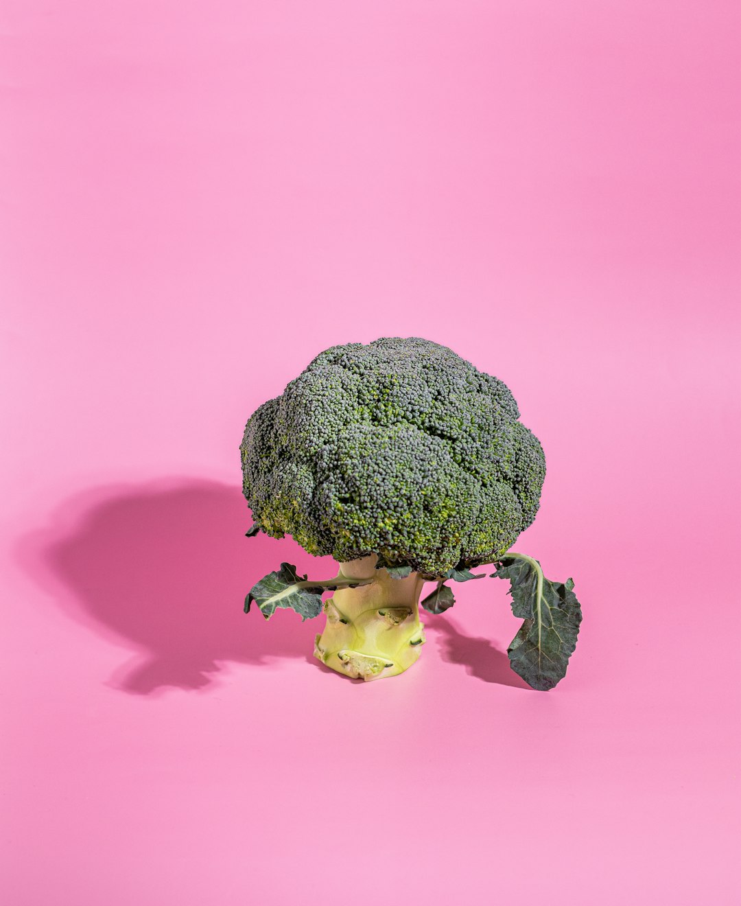 Broccoli Florets (image credits: unsplash)