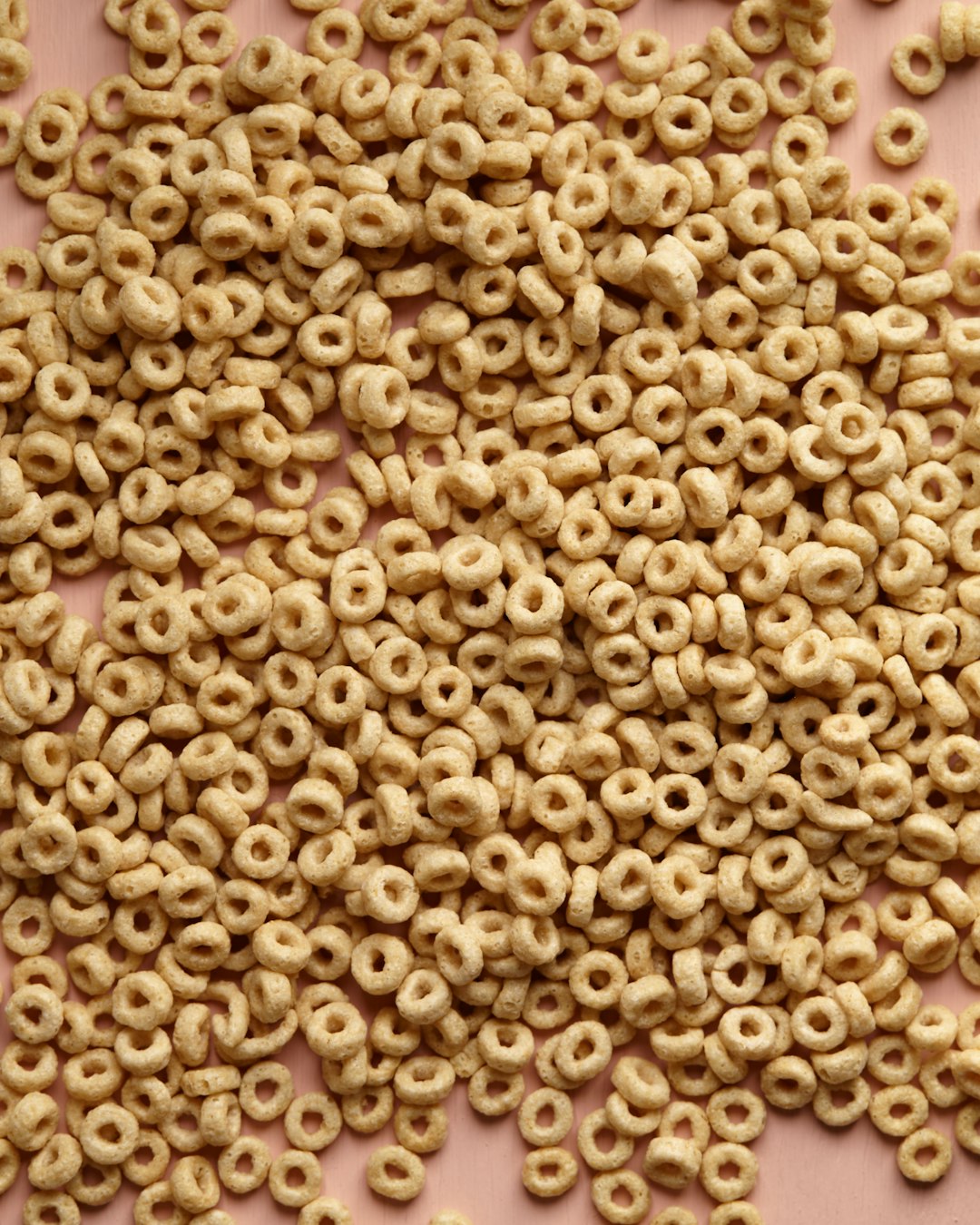 Concentrate Cereal - Fish Food for Breakfast (image credits: unsplash)
