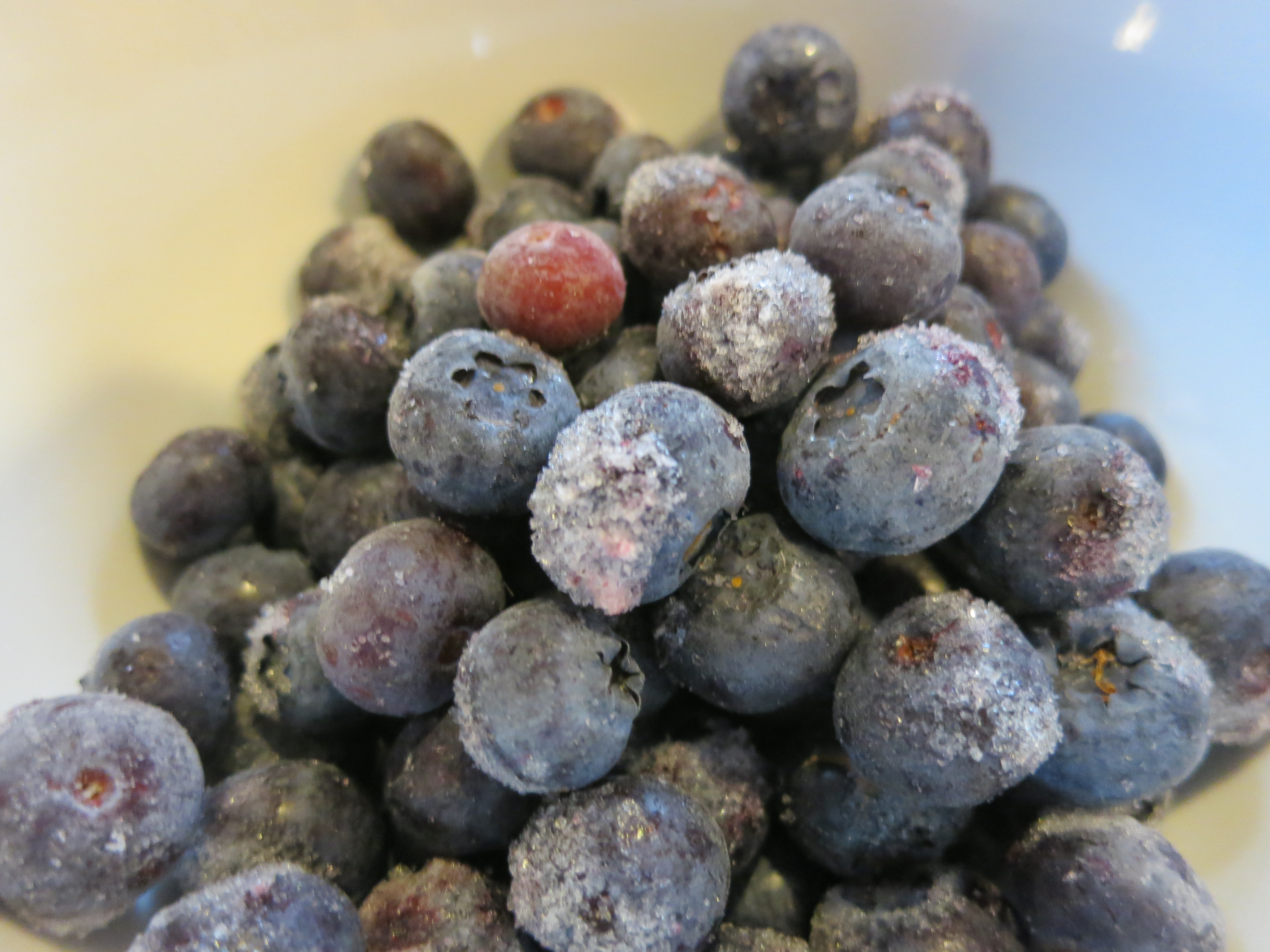 Reliable Year-Round Supply (image credits: wikimedia)