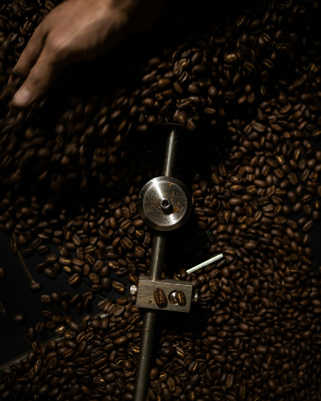 Coffee - From Bean to Bland (image credits: unsplash)