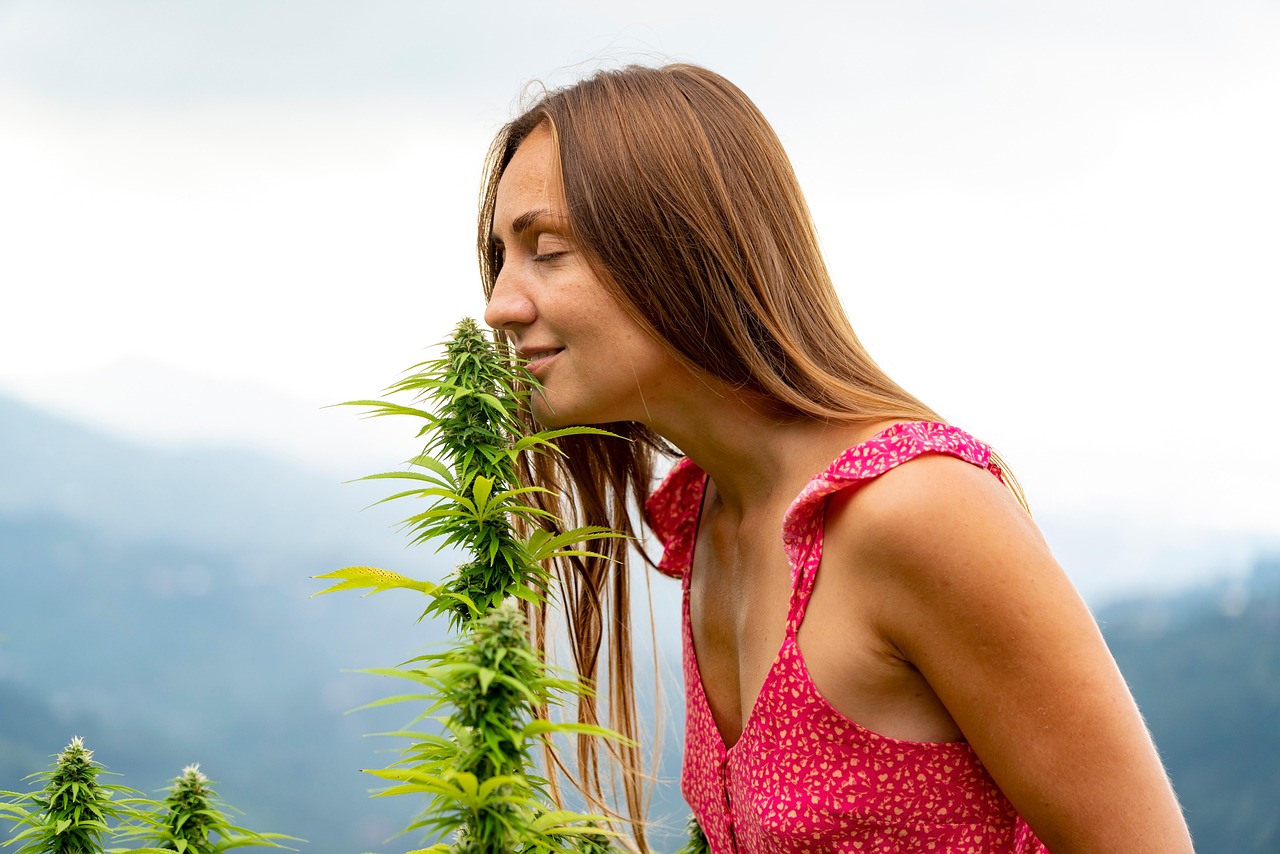 Smell Takes Center Stage (image credits: pixabay)