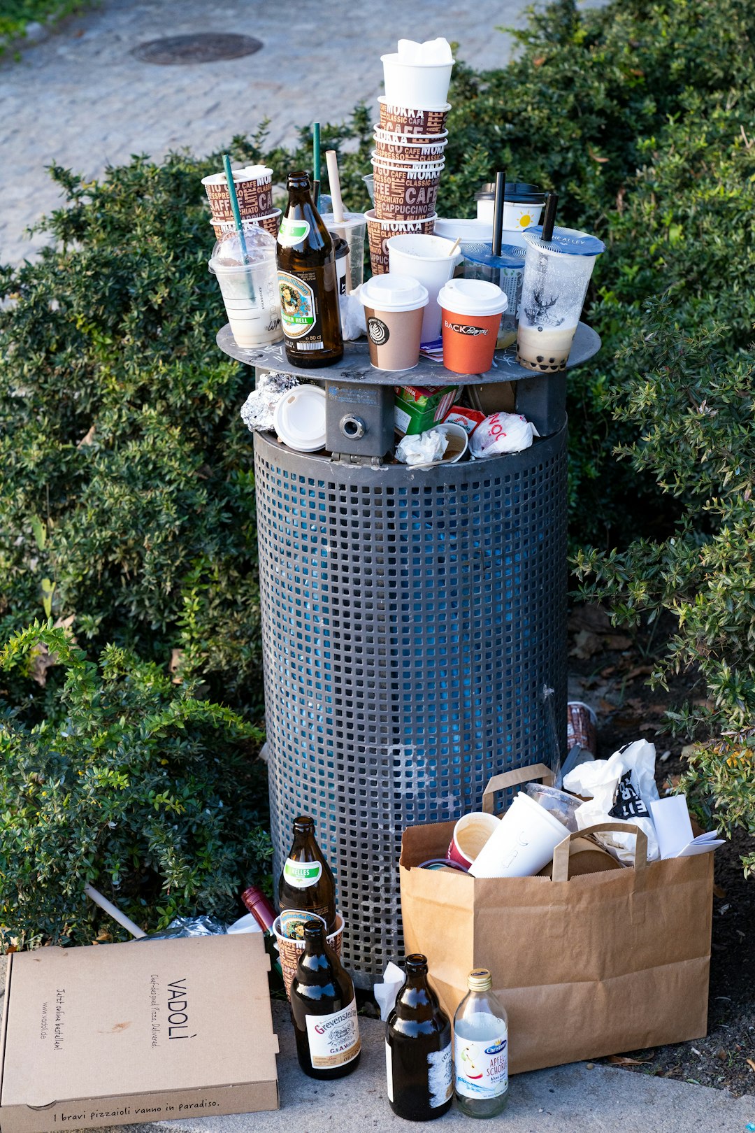 Overflowing Trash Cans Without Tight Lids (image credits: unsplash)