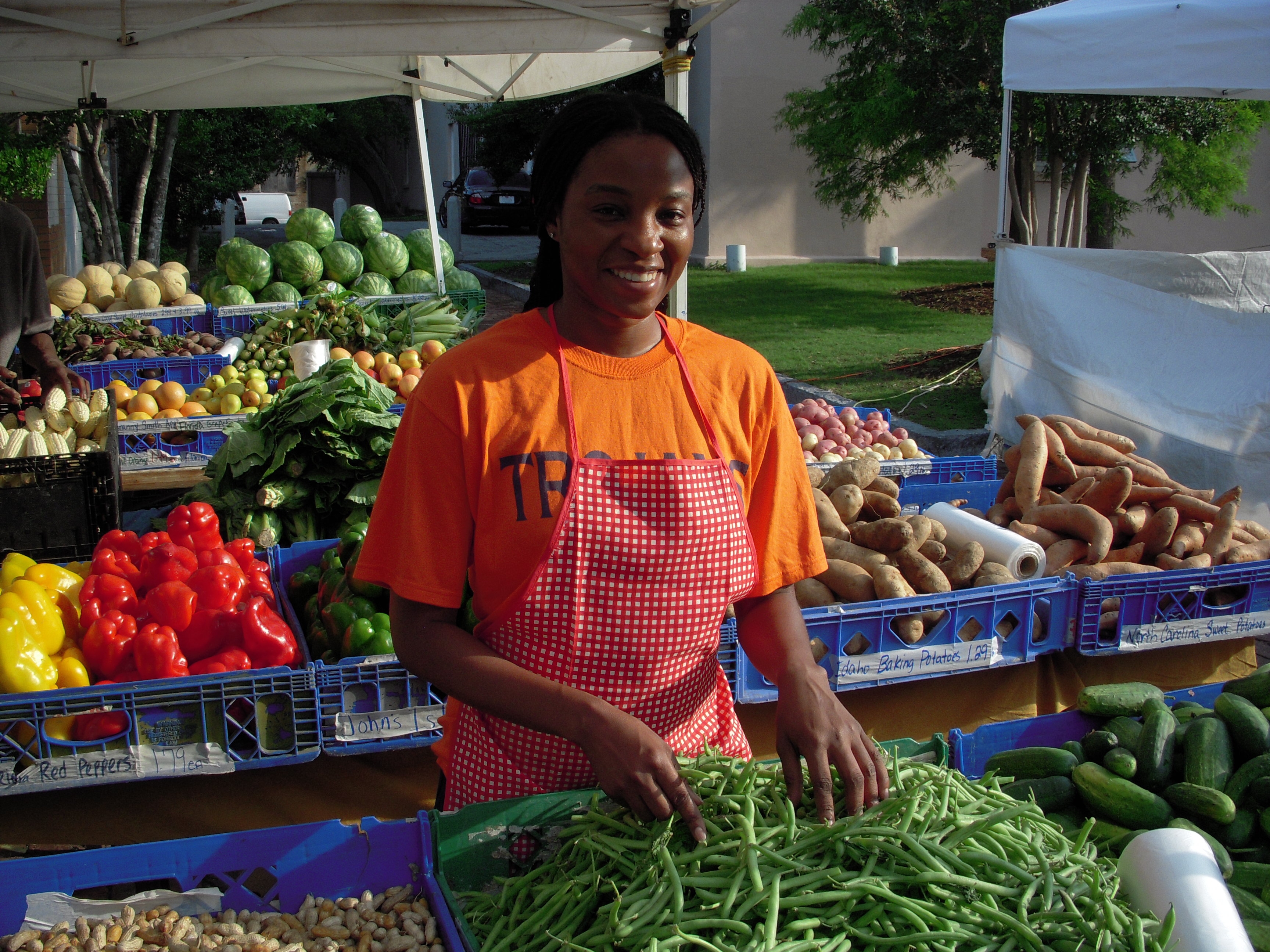 Impact on Small and Medium-Sized Enterprises (SMEs) (image credits: wikimedia)