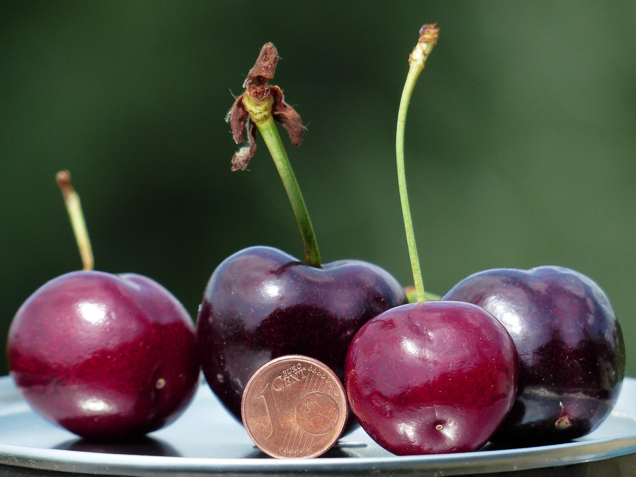 Nutritional Comparison: Fresh vs. Frozen vs. Canned (image credits: pixabay)