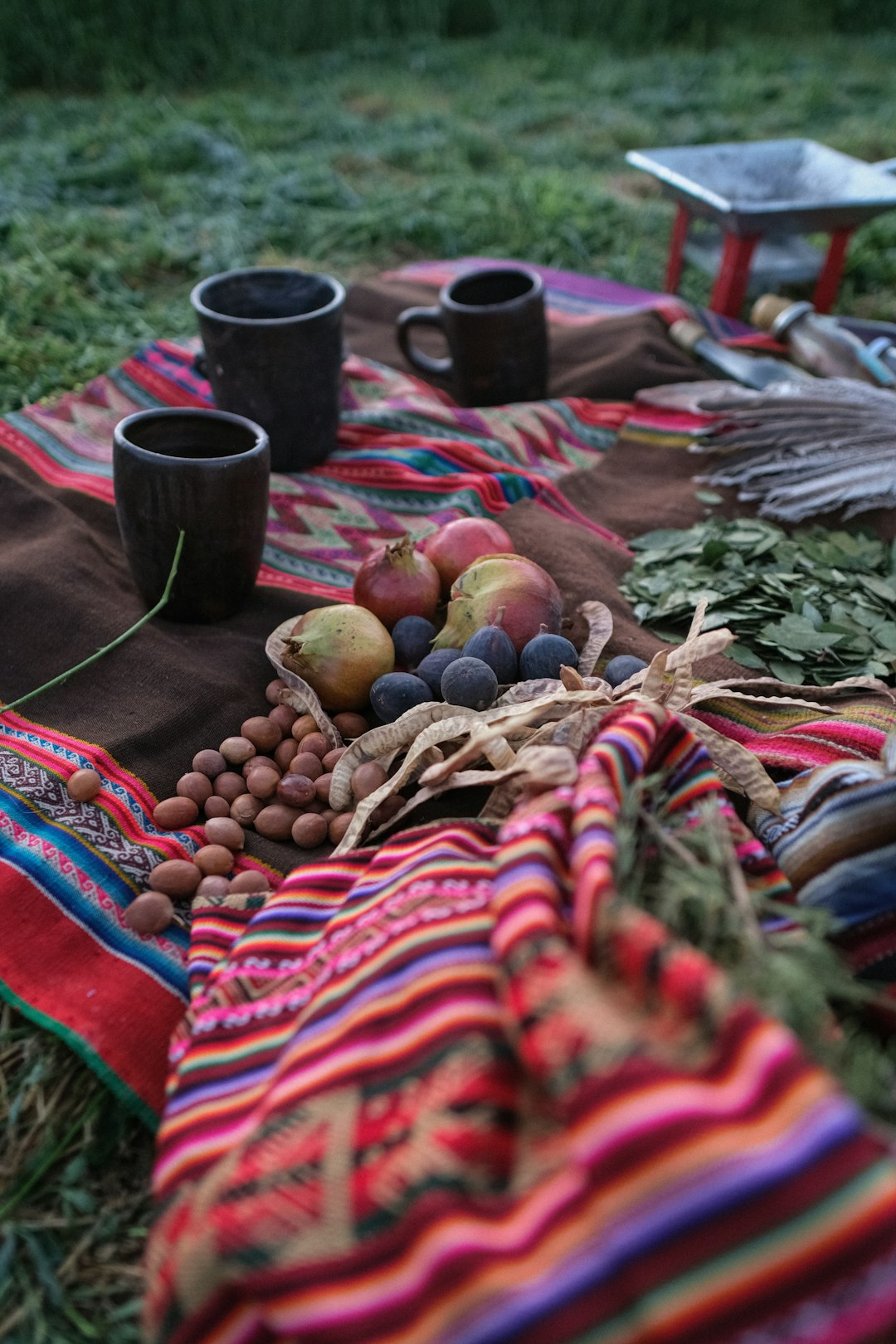 Technology Platforms Amplify Indigenous Food Stories (Image Credits: Unsplash)