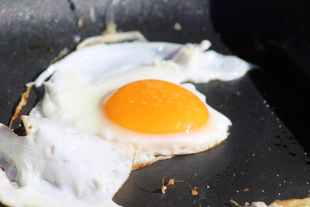 Eggs: Protein and Biotin Powerhouse (image credits: rawpixel)