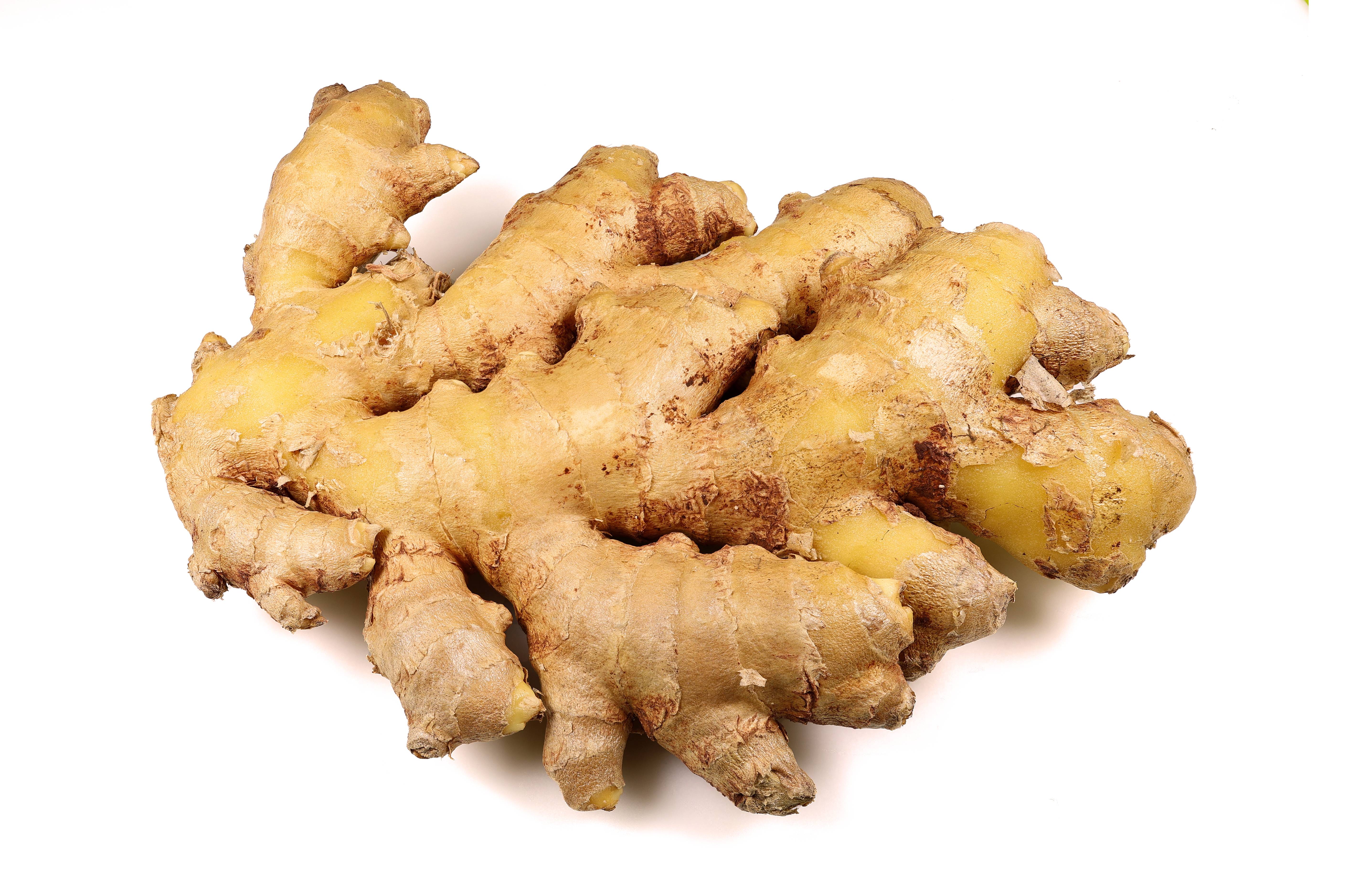 Ginger: Spicy Root with Analgesic Effects (image credits: wikimedia)