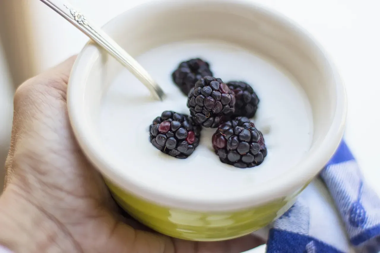 Yogurt: The Dairy Department Secret (Image Credits: Pixabay)