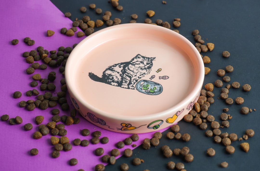 Pet Food Bowls in the Kitchen Sink (image credits: unsplash)