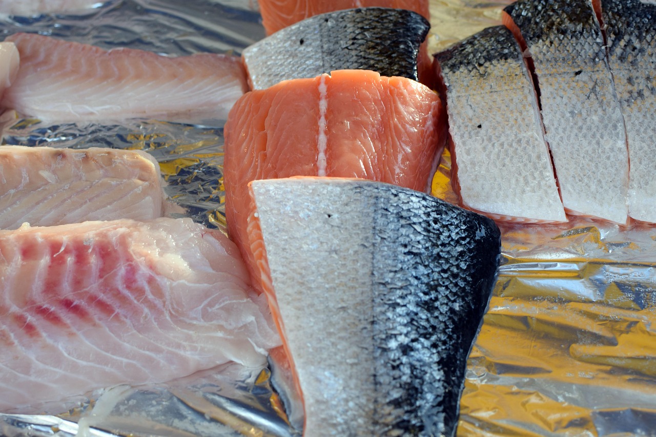 Salmon and Fatty Fish - Omega-Rich Protein Sources (image credits: pixabay)