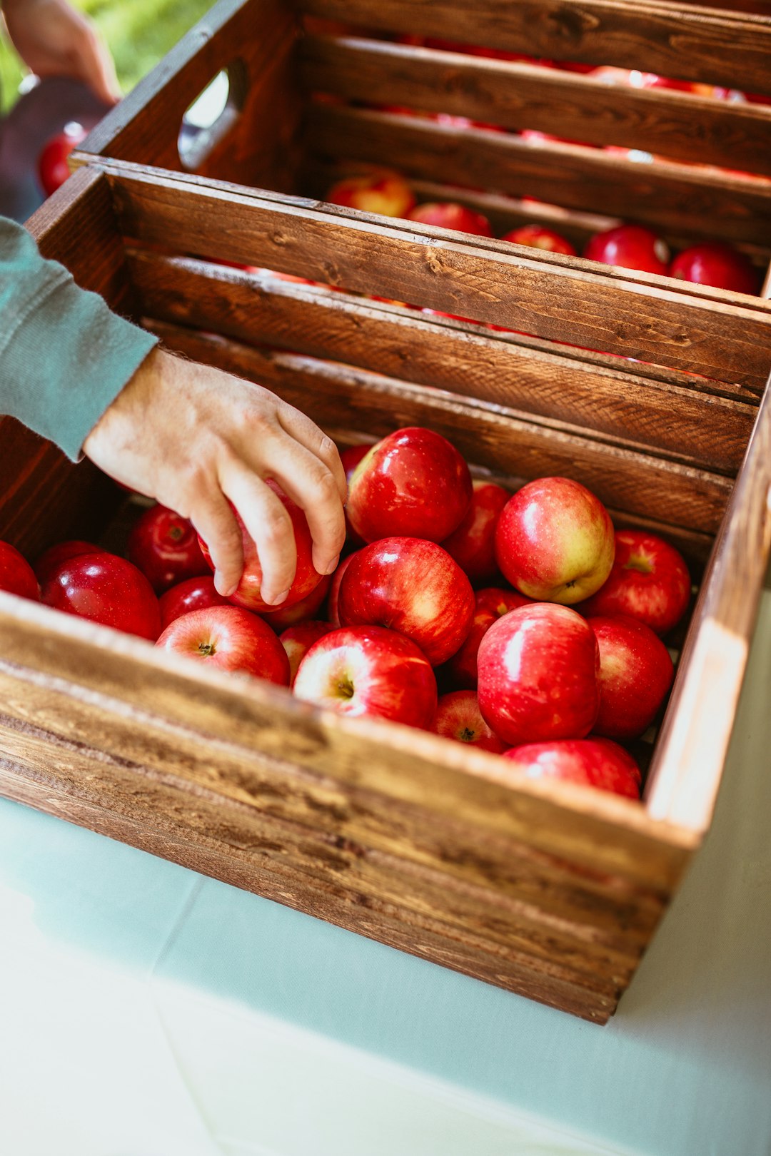 The Allure of Fresh Fruits (image credits: unsplash)