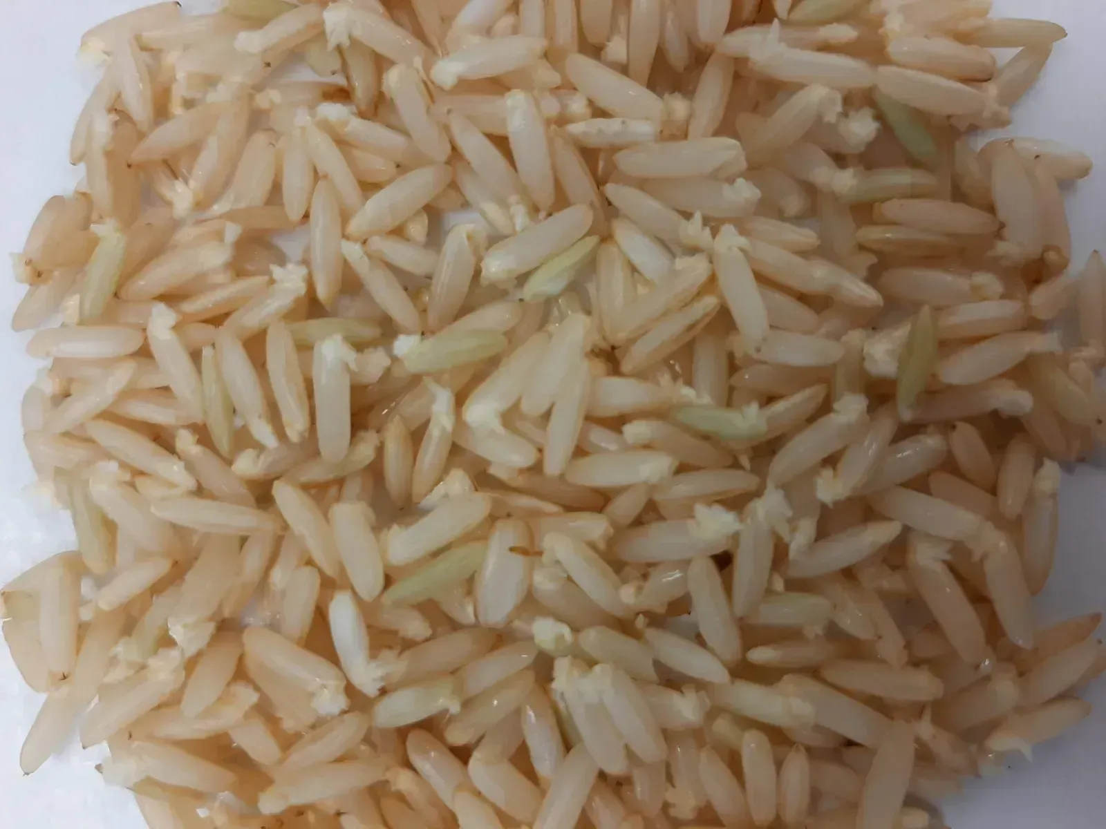 Brown Rice and Whole Grains (Image Credits: Wikimedia)
