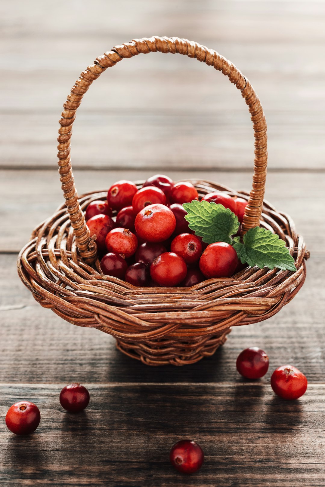 Cranberries: The Tart Superfruit (image credits: unsplash)