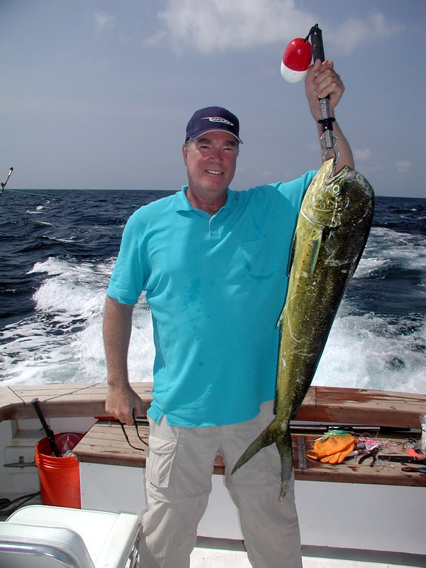 Imported Mahi-Mahi - Environmental Concerns and Limited Benefits (image credits: flickr)