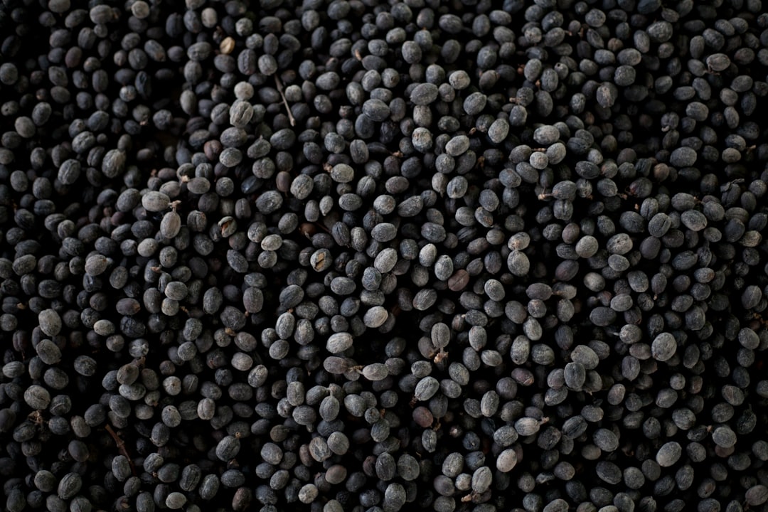 3. Black Beans: A Fiber-Rich Choice (image credits: unsplash)