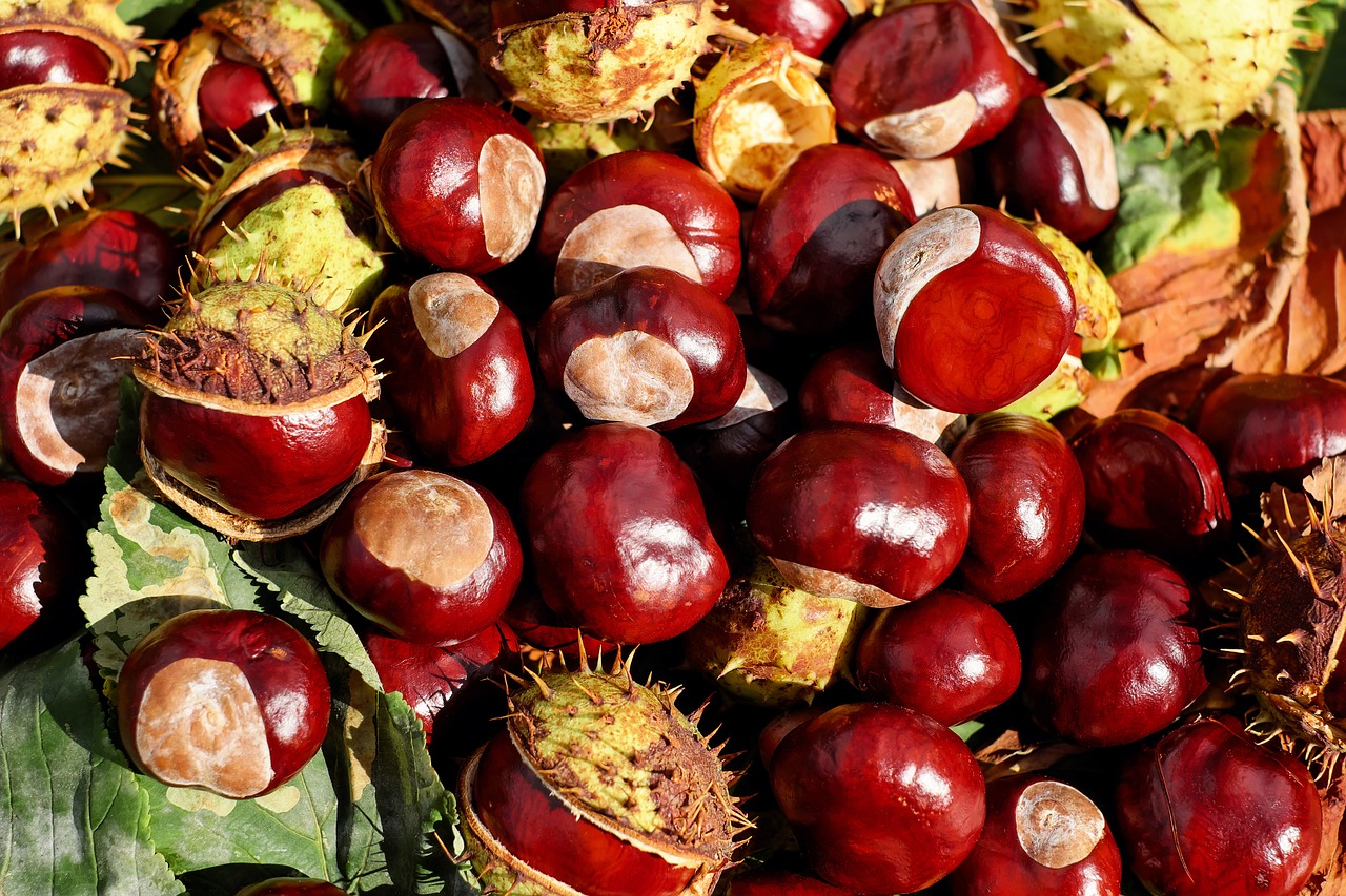 Chestnuts: The Low-Fat Option (image credits: pixabay)