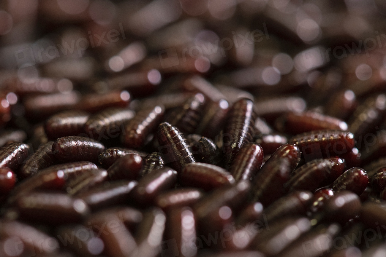 Real-World Health Benefits Are Measurable (image credits: rawpixel)