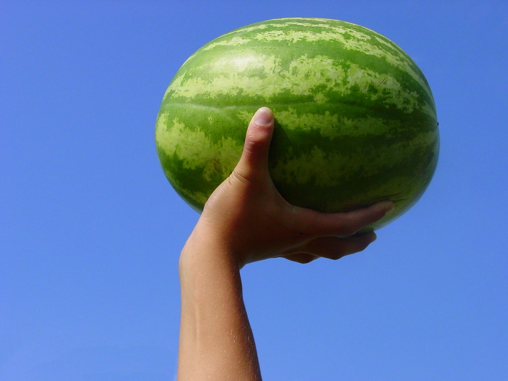 Choose the Heaviest Melon for Maximum Juiciness (image credits: flickr)