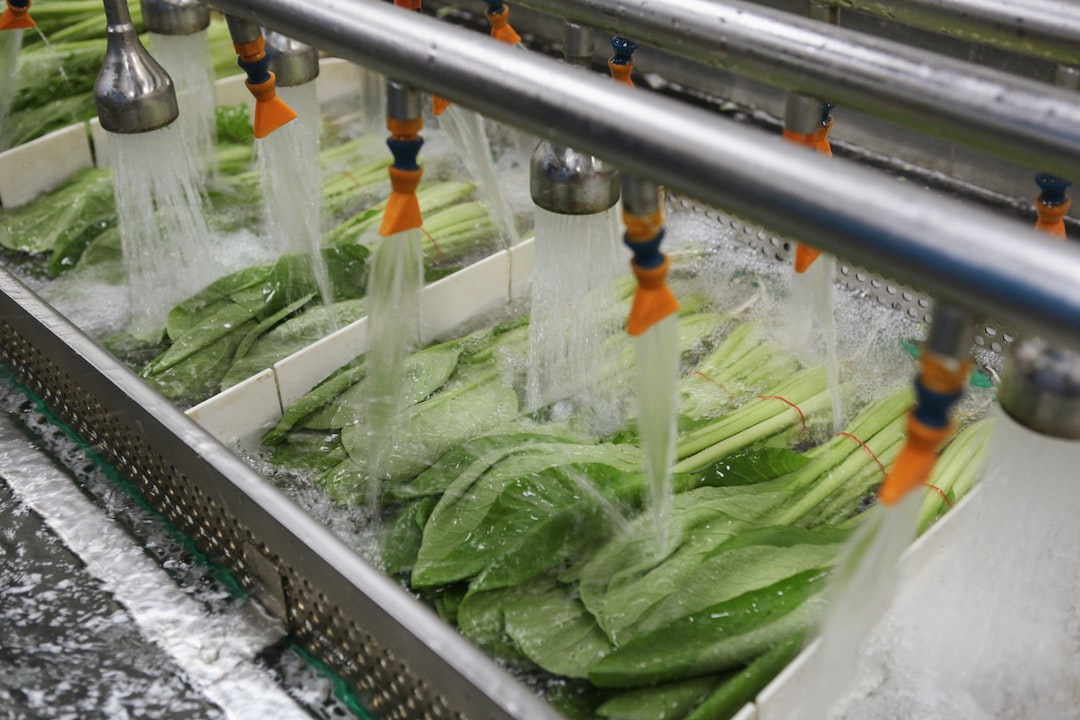 The Dangers of Improperly Cleaned Food Processors (image credits: unsplash)