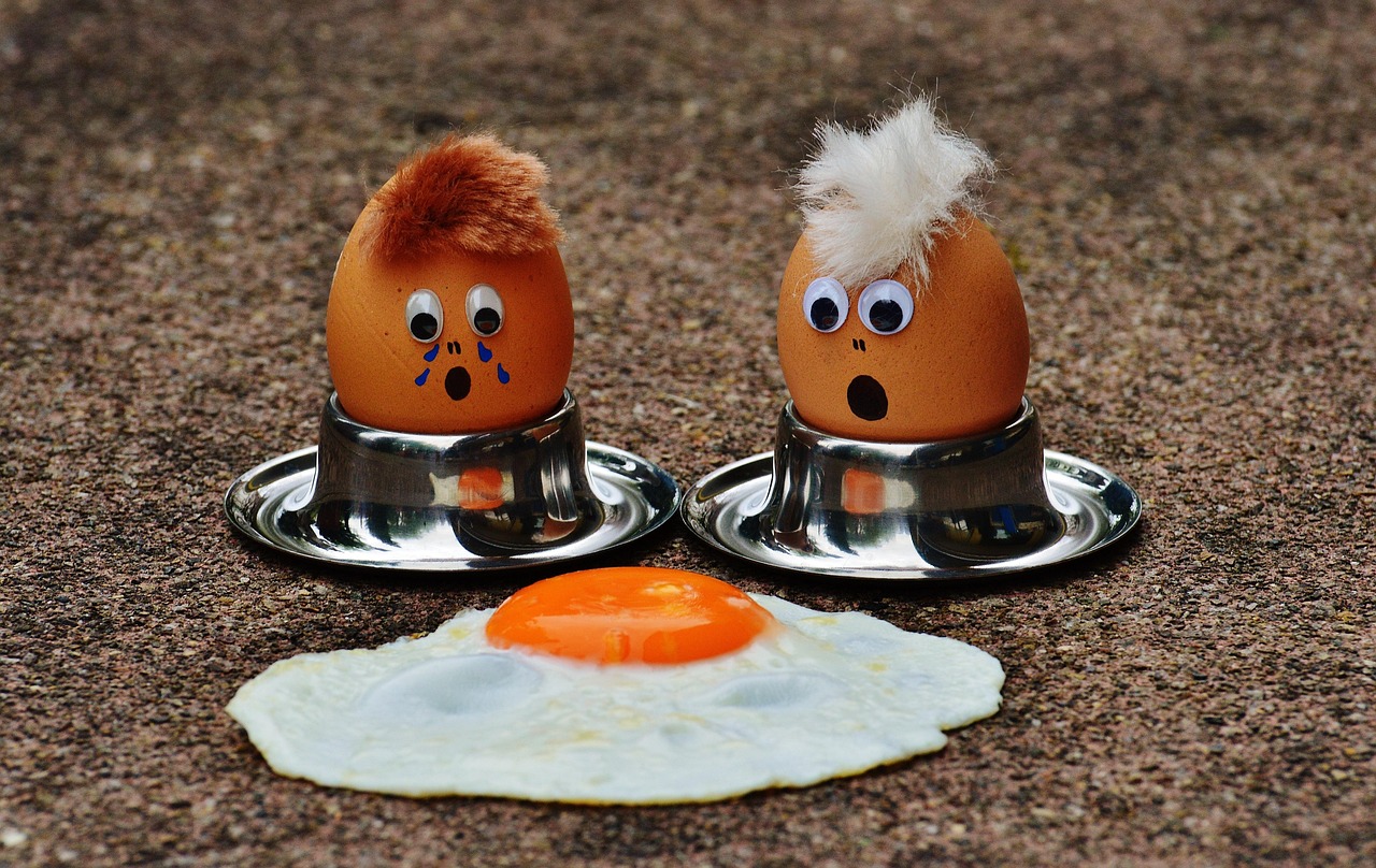 4. Protein Sources: Quality vs. Quantity (image credits: pixabay)