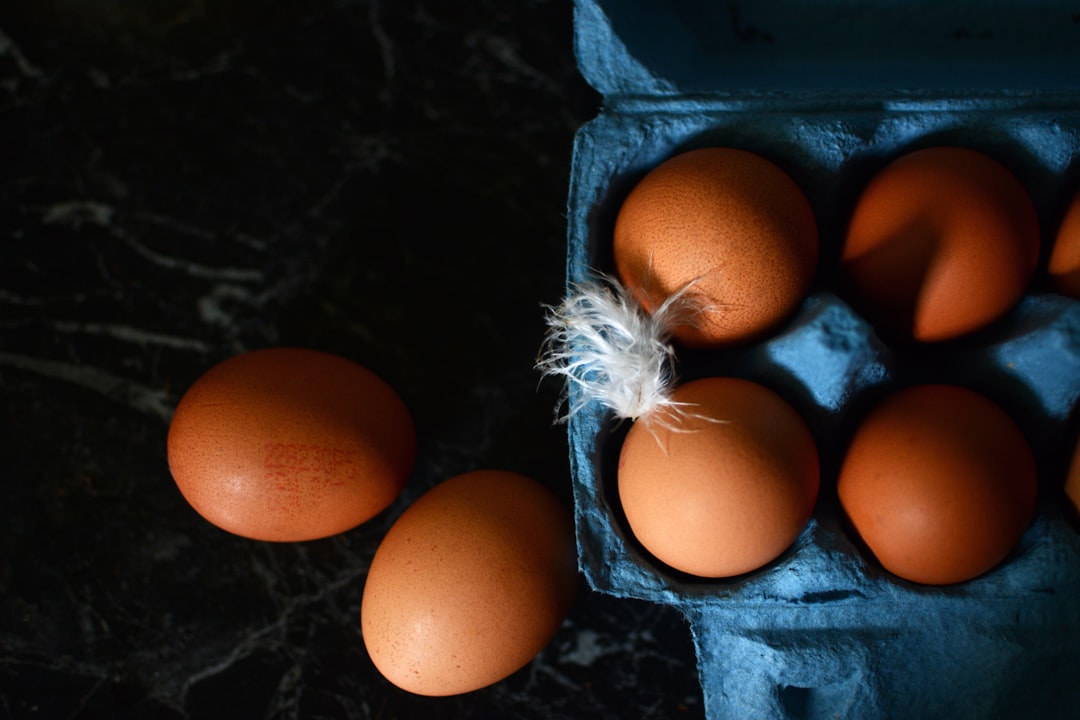 Organic Eggs: Nature's Perfect Organic Package (image credits: unsplash)