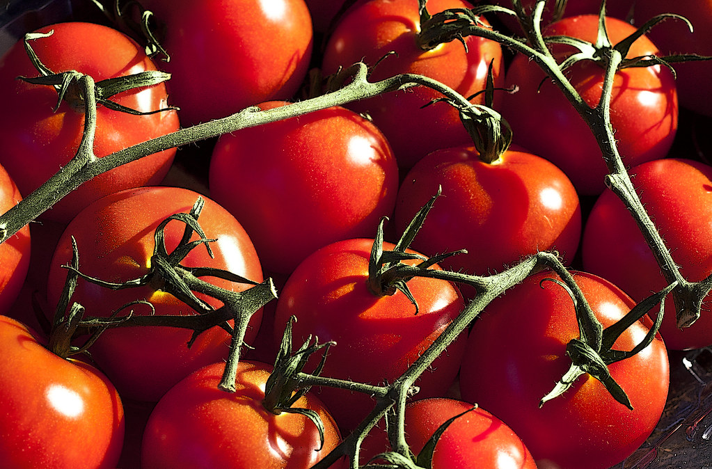 Tomatoes: The Flavor Faders (image credits: flickr)