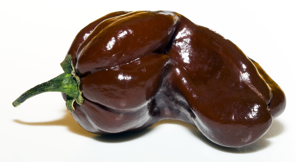 4. 7 Pot Douglah - The Chocolate Nightmare (image credits: flickr)