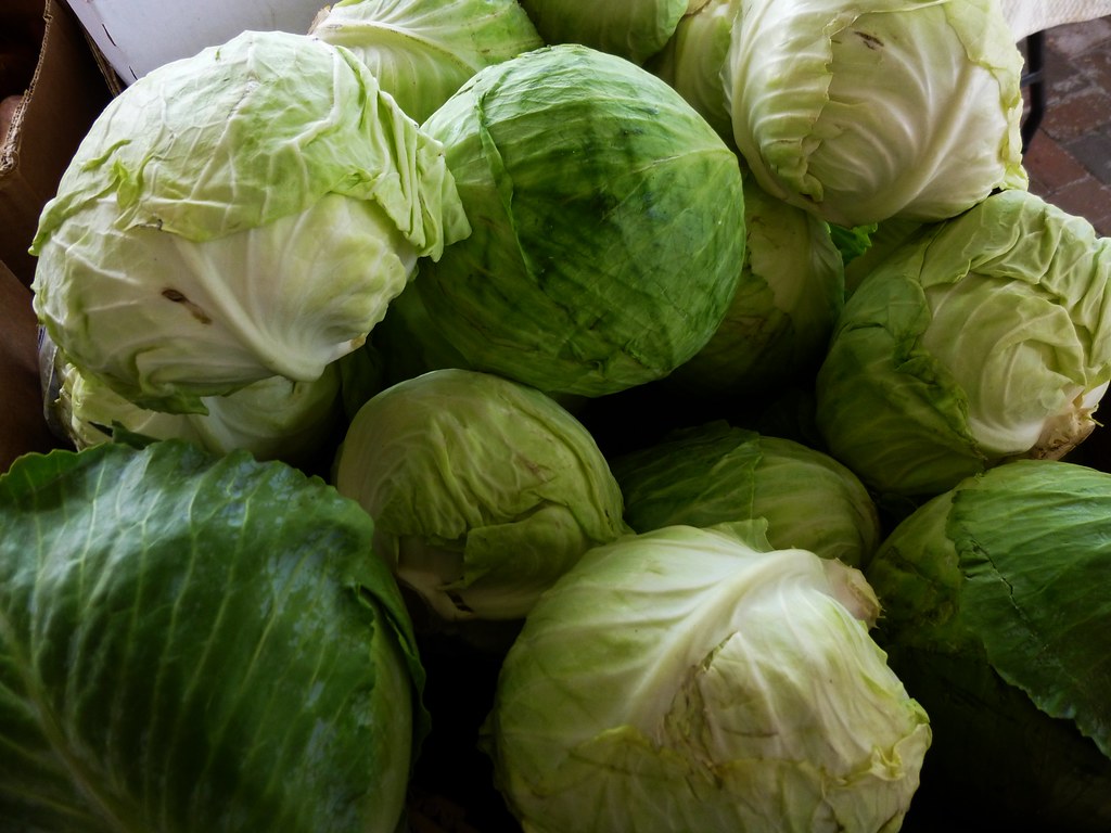 Cabbage: Crunch and Cruciferous Power (image credits: flickr)