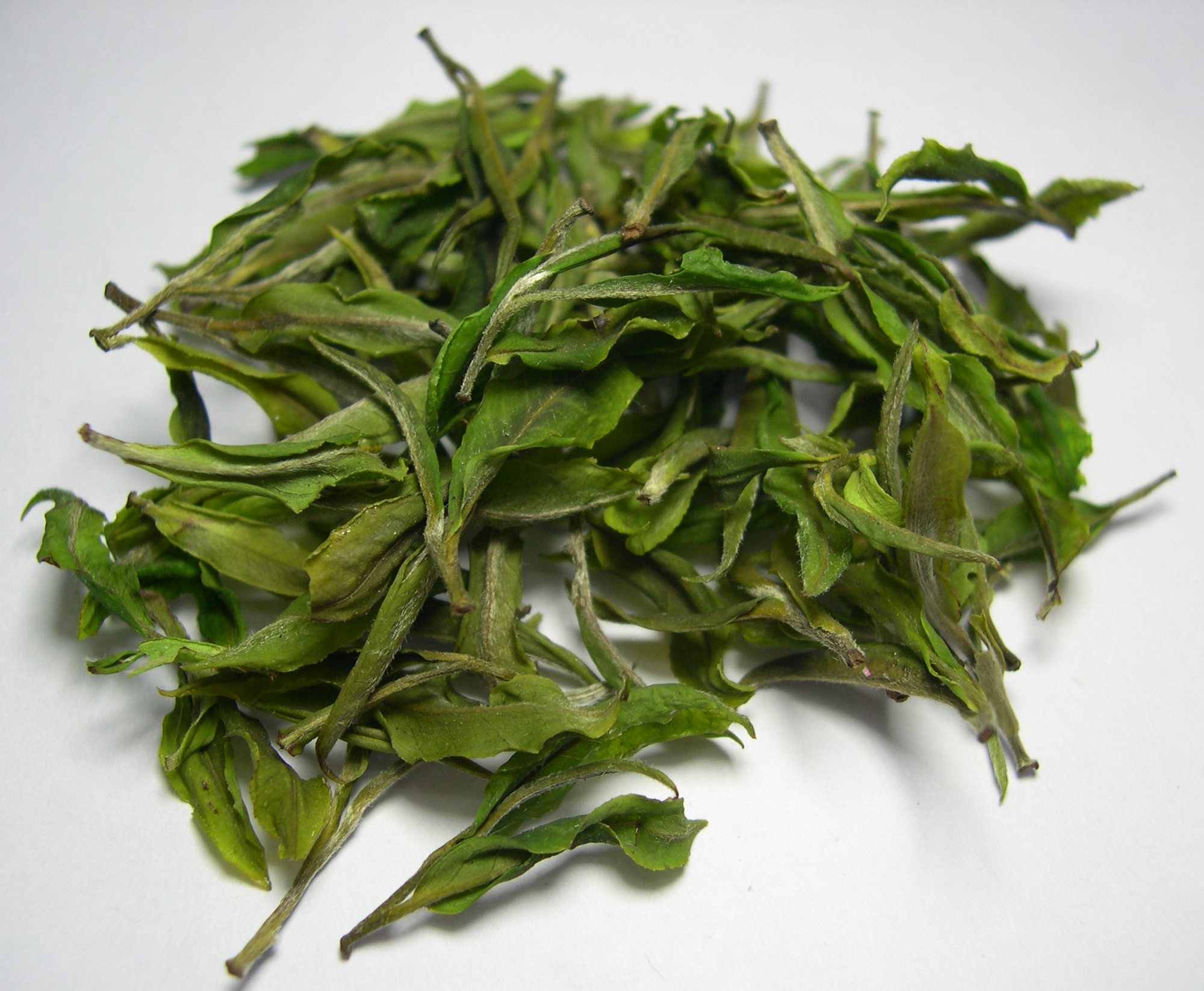 White Tea: The Delicate Delight (image credits: wikimedia)