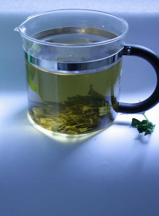 Green Tea's L-Theanine Magic (image credits: flickr)