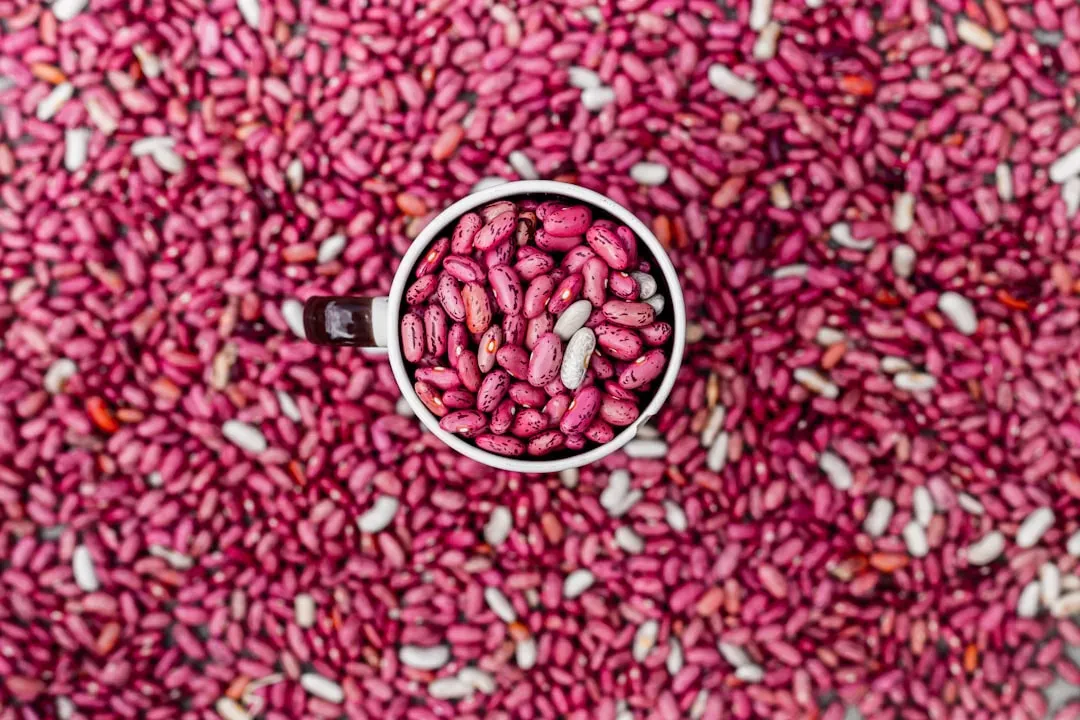 7. Dried Beans: Protein and Fiber in Bulk (Image Credits: Unsplash)