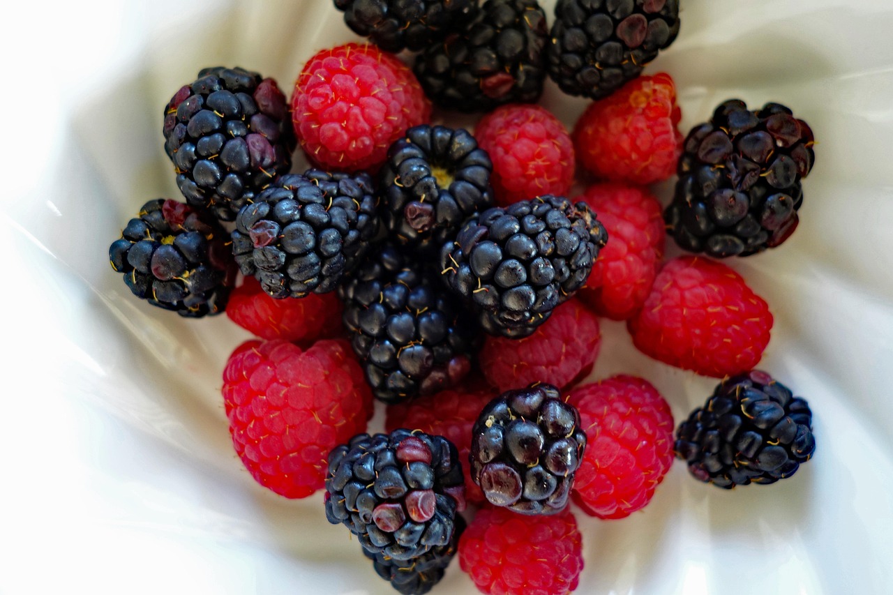 Blackberries and Raspberries in Final Harvest (image credits: pixabay)