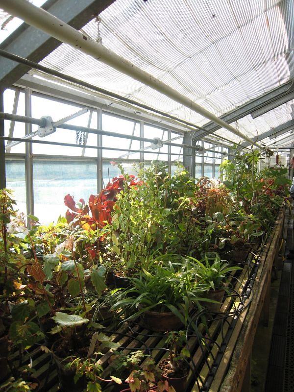 Growing in Controlled Environments (image credits: flickr)