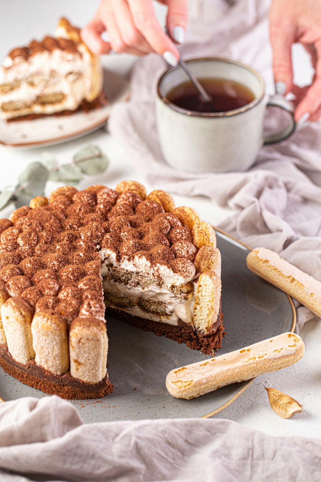 Tiramisu (image credits: unsplash)