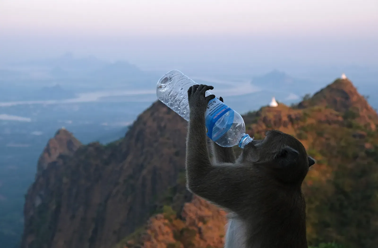 The Verdict: Should You Still Buy Bottled Water? (By kallerna, CC BY-SA 4.0)