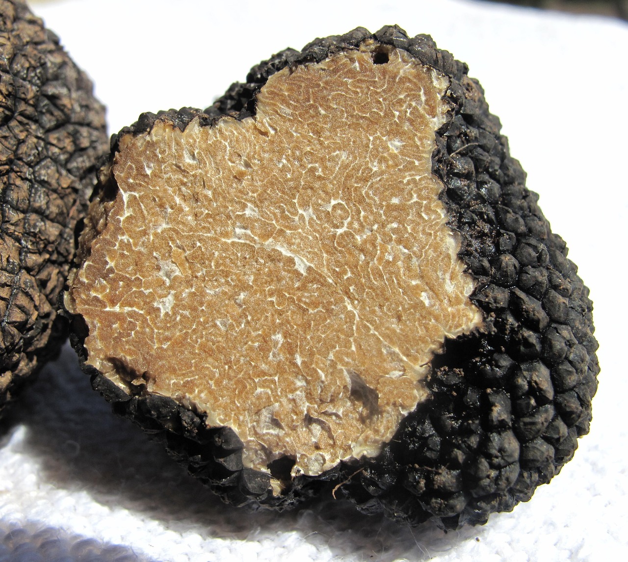 Truffles: The Underground Treasure with Skyrocketing Prices (image credits: pixabay)