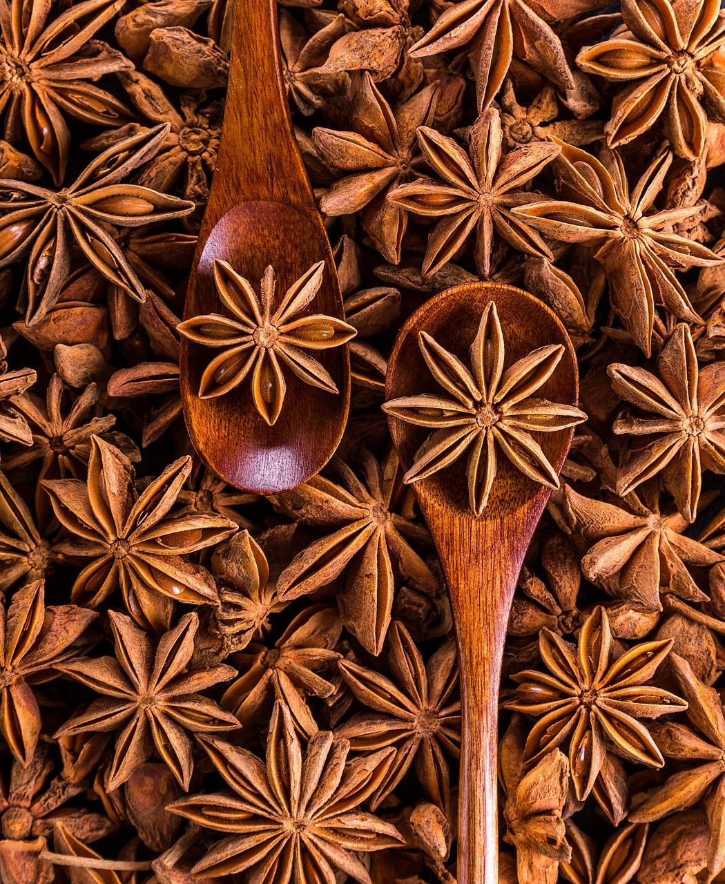 Star Anise: A Unique Flavor Profile (image credits: pixabay)