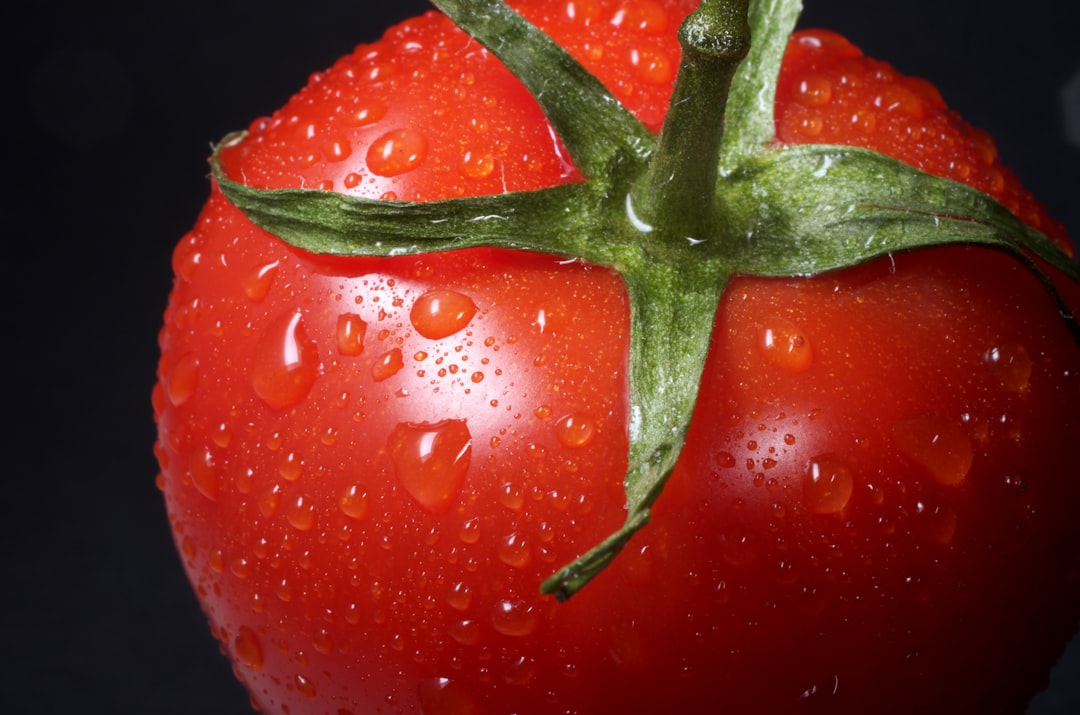 Innovation in the Food Industry: Tomato Alternatives on the Rise (image credits: unsplash)